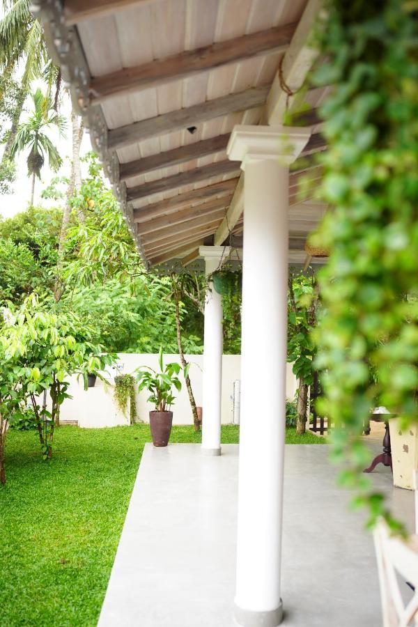 Ronaya Surf Waves Vila Dikwella Exterior foto