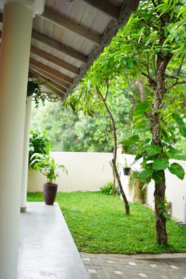 Ronaya Surf Waves Vila Dikwella Exterior foto