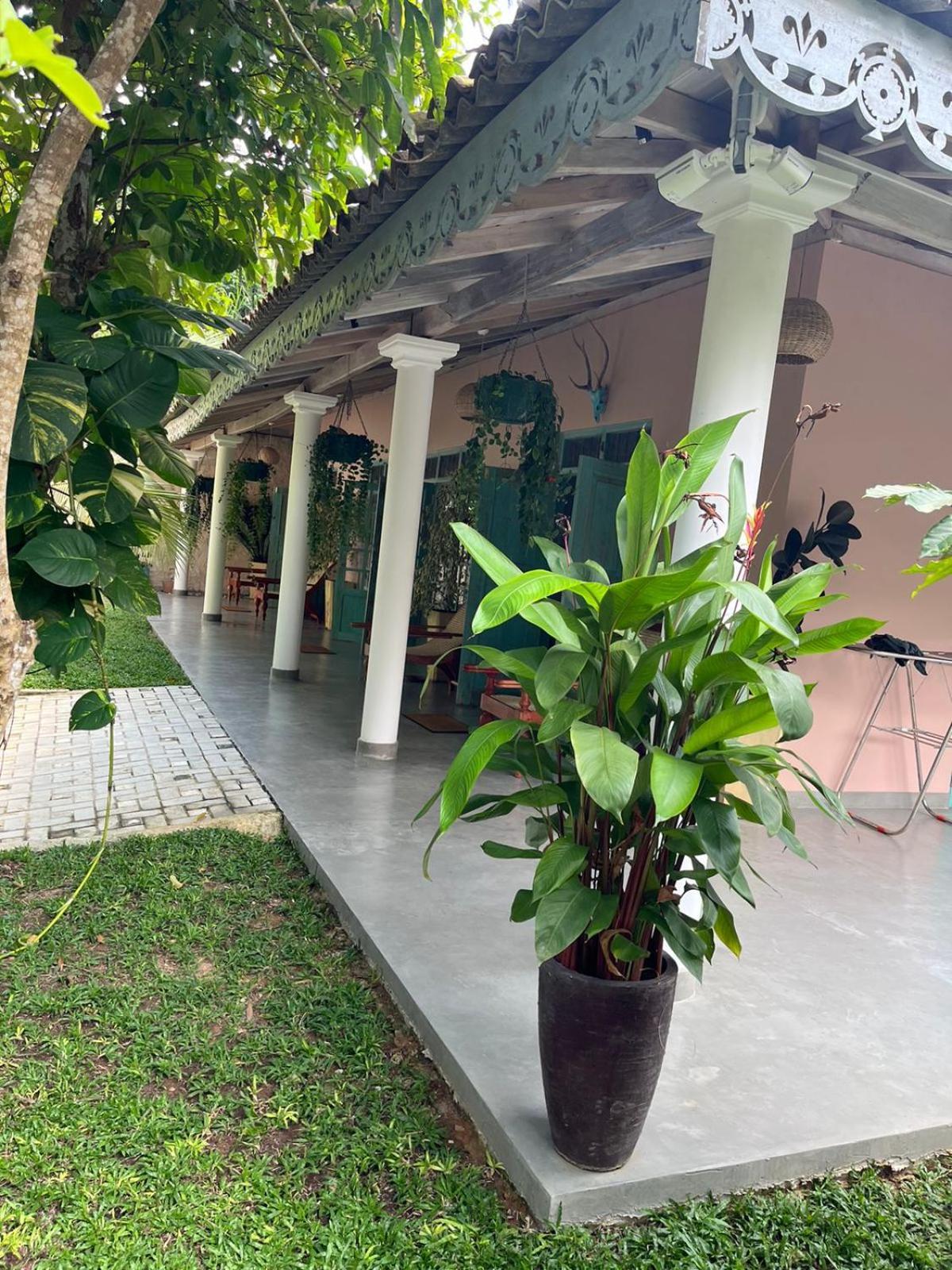 Ronaya Surf Waves Vila Dikwella Exterior foto